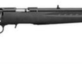 Ruger American Rimfire Rifle .22 Win Mag, 22", Satin Blue Finish