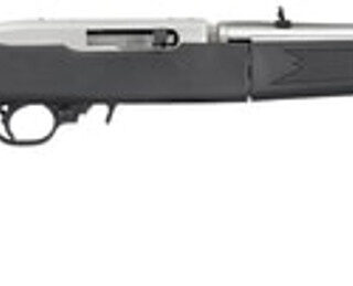 Ruger 10/22 Takedown Rifle, 18.5" Barrrel SS, Soft Carry Case, 10rd Mag