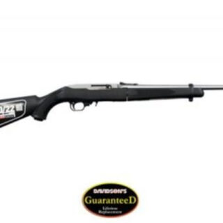 Ruger 10/22 Takedown .22 LR, 16.25", Threaded, Stainless, 10rd, Black Stock