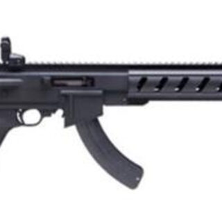 Ruger 10/22 ATI AR-22, 22LR, 25rd, 16", Talo Exclusive