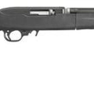 Ruger 10/22 Take Down 22LR 16" Heavy Threaded Barrel Synthetic Stock