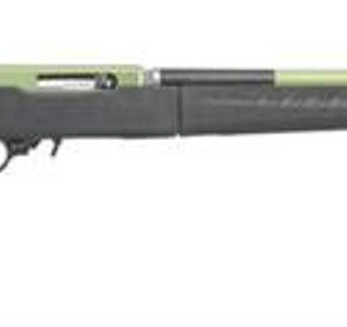 Ruger 10/22 Takedown Lite 22LR 16" Barrel 10 Rd Mag