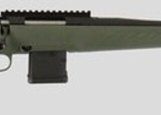 Ruger 26971 American Predator 204 Ruger, 22" Barrel, Moss Green Fixed Synthetic Stock Black Steel Receiver, 10rd