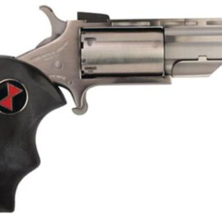 NAA 22 Black Widow 22LR 2" 5rd Fixed Sight Black Rubber Grip Stainless