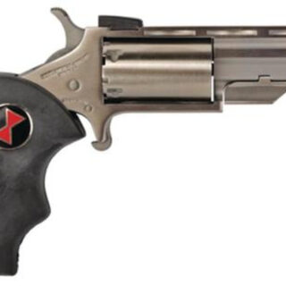 NAA 22 Black Widow 22 Mag 2" 5rd Fixed Sight Black Rubber Grip Stainless