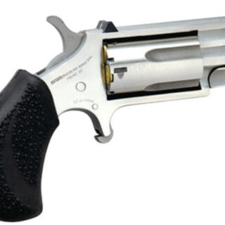 North American Arms NAA PUG 22 Magnum, 1" Heavy Barrel/White Dot Sights & Rubber Grip