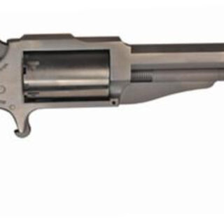 North American Arms NAA Earl 22MAG/22LR 4IN