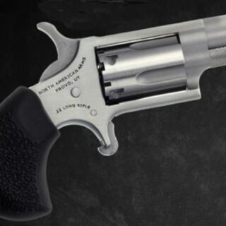 North American Arms Mini 22lr Rev 1-1/8 Ss Ported