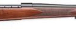 Weatherby Vanguard Sporter, .30-06 Sprg, 24", Blued, Walnut Stock