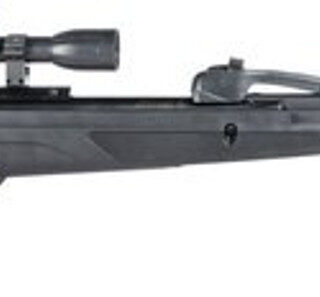 Gamo Swarm Whisper, .22 Pellet, 975 Feet Per Second, 19" Barrel, Black Color, Synthetic Stock, 4x32 Scope, 10Rd