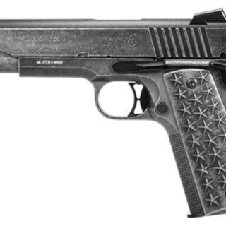 Sig Air--BB 1911BB ..177 Caliber, We The People