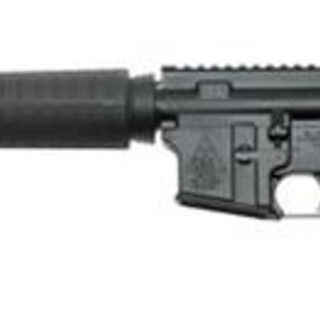 Del-Ton Echo 316 5.56/.223, 16" Barrel, 6-Post Stock, A2 Front, Black, 30rd