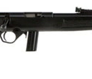 Mossberg 802 Plinkster, .22 LR, 18", 10rd, Blued, Black