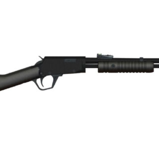 Rossi RP22, Pump, 22 LR, 18" Barrel, Black, Synthetic Stock, Adjustable Sights, 15Rd
