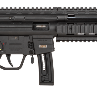 GSG GSG-16 Carbine 22 LR, 16.25" Barrel, Black, 10rd