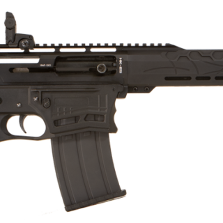Legacy Sports Citadel Boss 25 12 Ga, 18.75" Barrel, 3" Chamber, 5rd, Semi-Auto