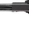 Four Peaks Copolla PA-1225 Pump Action 12 Ga, 20" Barrel, 3", Black, 5rd - Image 2