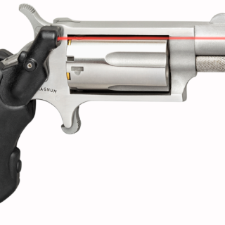 NAA Mini-Revolver .22 WMR, 1.125" Barrel, Viridian Laser Grip, SS, 5rd