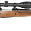 Savage 110 Hunter XP 223 Rem, 20" Barrel, Bushnell 4-12x40m Scope, 4rd
