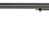Heritage Rough Rider 22 LR, 16" Barrel, Simulated Case Hardened, Laminate Camo Grip, 6rd - Image 2