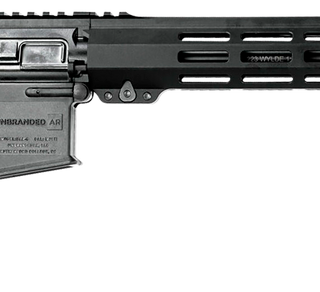 UnBranded AR Carbon 223 Wylde, 16" Barrel, Black, 30rd