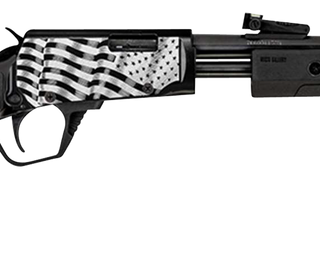 Rossi RS22 22 LR, 18" Barrel, Laser Engraved Deer Receiver, Black, 15rd