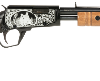 Rossi Gallery 22 LR, 18" Barrel, Engraved Metal Finish, Fixed Hardwood Stock, 15rd