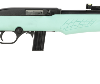 Rossi RS22 .22 LR, 18" Barrel, Black, Monte Carlo Teal Synthetic Stock, 10rd