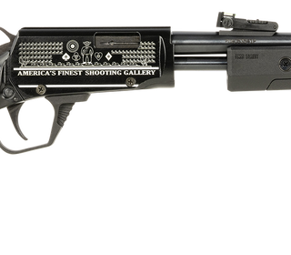 Rossi Gallery 22 LR, 18" Barrel, Engraved Receiver, Synthetic Stock, 15rd