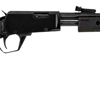 Rossi Gallery 22 WMR, 20" Barrel, Matte Finish, Synthetic Stock, Adjustable Sights, 12rd