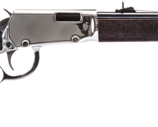 Rossi Rio Bravo 22 LR, 18" Barrel, Nickel Finish, Wood Stock, Adjustable Sights, 15rd