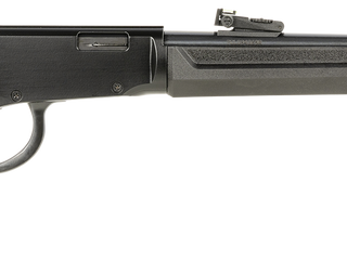 Rossi Rio Bravo 22 WMR, 20" Barrel, Black, Polished, Synthetic Stock, Fiber Optic Sights, 12rd