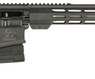 Great Lakes Firearms AR-10 308 Win, 18" Stainless, Black, 20rd