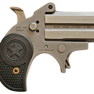 Bond Arms Stubby 22 LR, 2.20" Barrel, Matte Stainless, Polymer Grips, 2rd
