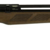Gamo Whisper Air Rifle, 177 Pellet, Beechwood Stock, 10rd