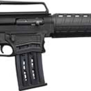 Charles Daly AR-12S 12 Ga, 20" Barrel, 3", Polymer Stock, Black, 5rd