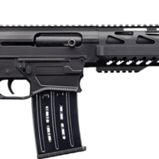Charles Daly AR-12A, 12 Ga 3", 18.5" Barrel, Front/Rear Flip Sights, Synthetic Stock, Black, 5rd