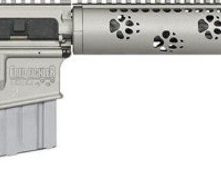 Rock River LAR15 Eichler Predator 2 .223 Wylde, 16" Heavy Barrel, Gray Finish, 20rd