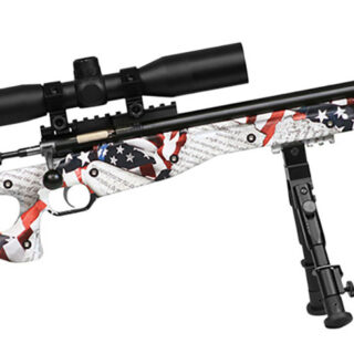 Crickett Precision Complete Package .22 LR, 16" Barrel, American Flag/Amendment, Youth, 1rd