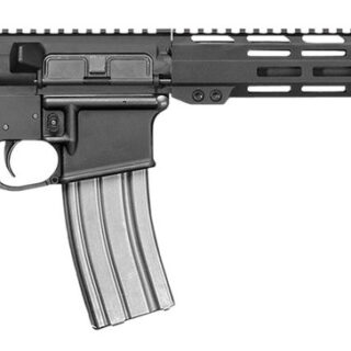Del-Ton Echo 316M 5.56x45mm, 16" Barrel, Black, M4 Stock, 30rd