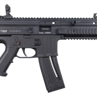 Mauser Rimfire M-15 SD, 16.50" Faux Suppressor Barrel, Side Folding Stock, 22rd