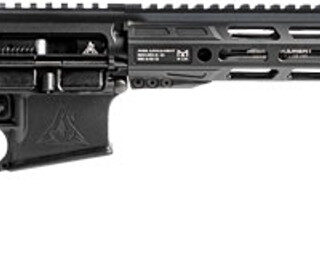 Rise Armament Watchman 223 Wylde, 16" Barrel, Black, Optics Ready, 30rd